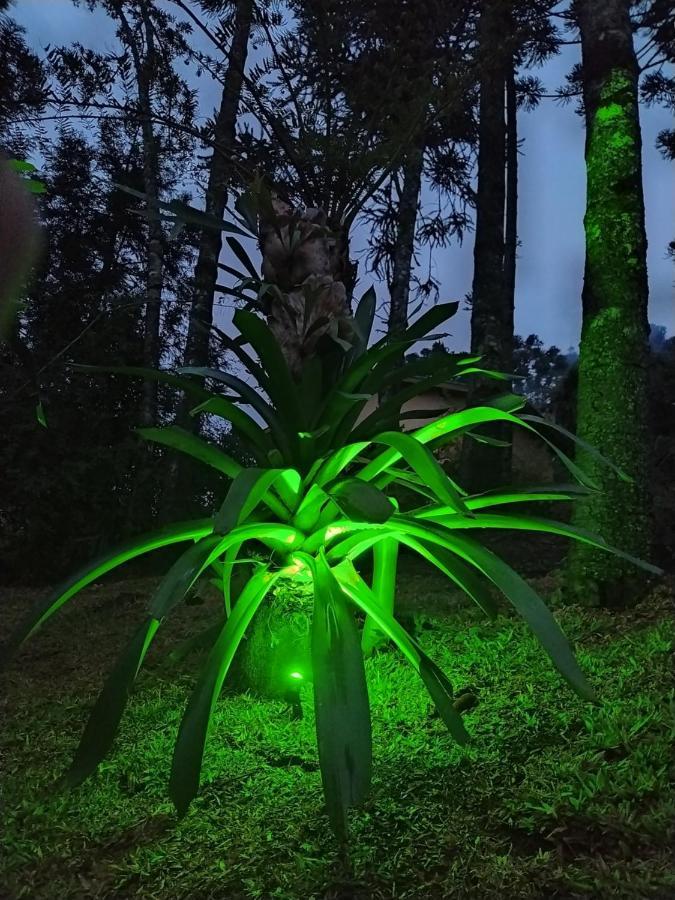 Chales Descanso Na Serra Monte Verde  Eksteriør bilde
