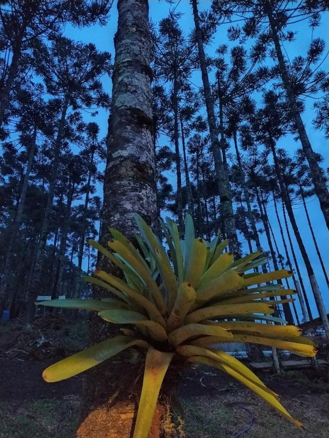 Chales Descanso Na Serra Monte Verde  Eksteriør bilde