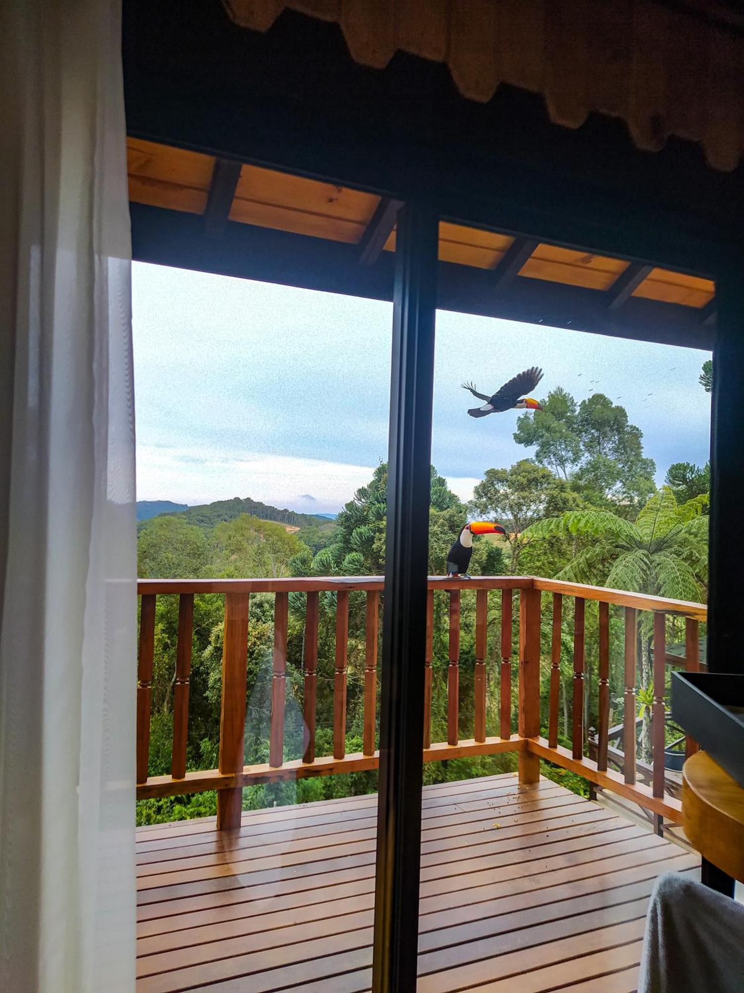 Chales Descanso Na Serra Monte Verde  Rom bilde